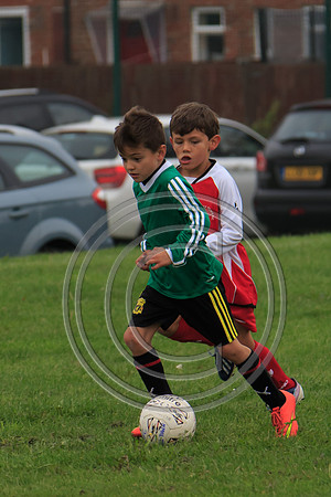 Eldon-2014 173