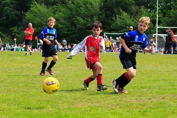 130629 Sandhurst Wanderers U8 at BTJ U9 Trny (95)