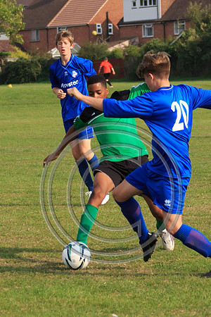 Eldon-2014 1106