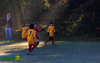 131123 B Cavaliers U9 v Pinewood Pumas 0-3 013