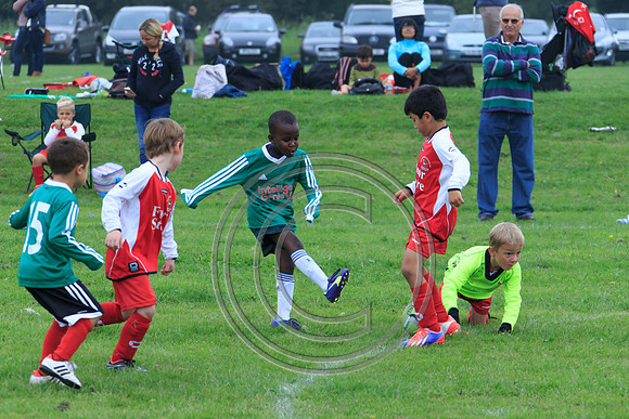 Eldon-2014 208
