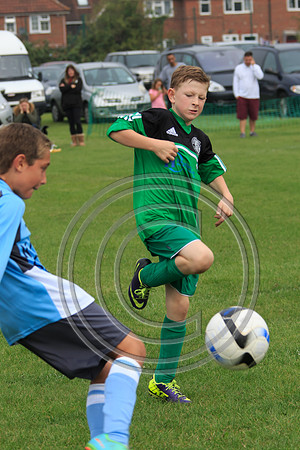Eldon-2014 440
