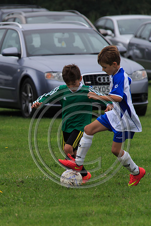 Eldon-2014 315