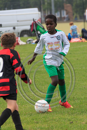 Eldon-2014 556