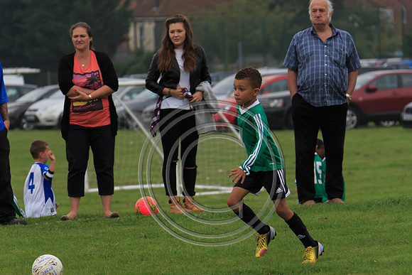 Eldon-2014 176