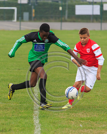 Eldon-2014 086