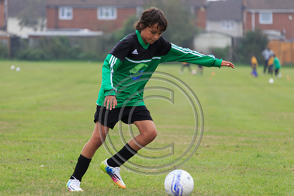Eldon-2014 394