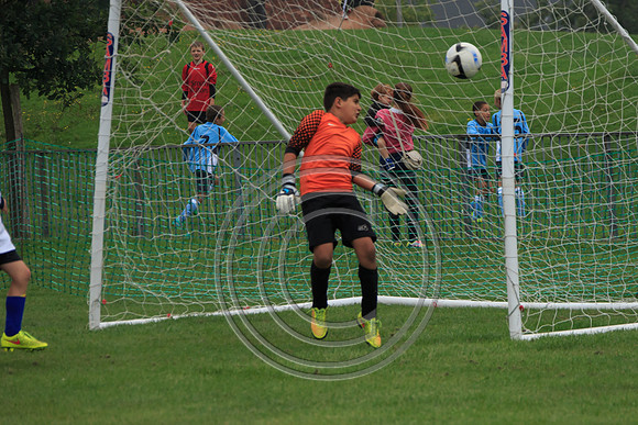 Eldon-2014 291