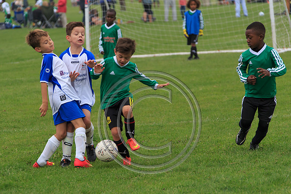 Eldon-2014 313