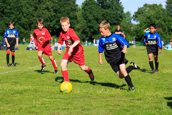 130629 Sandhurst Wanderers U8 at BTJ U9 Trny (485)