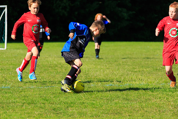 130629 Sandhurst Wanderers U8 at BTJ U9 Trny (554)