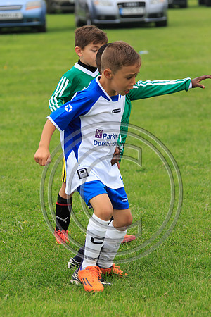 Eldon-2014 303