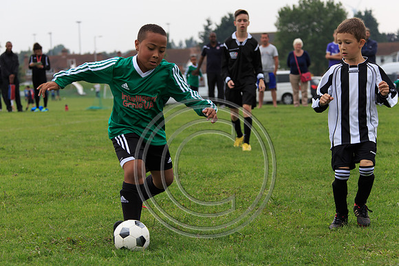 Eldon-2014 790