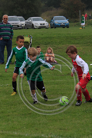 Eldon-2014 232