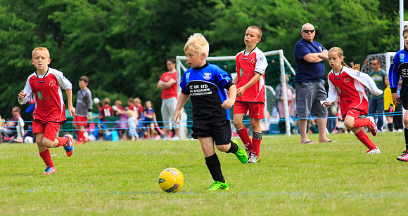 130629 Sandhurst Wanderers U8 at BTJ U9 Trny (16)