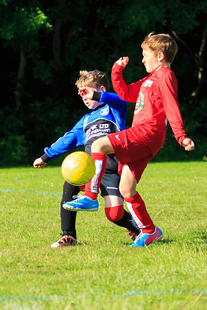 130629 Sandhurst Wanderers U8 at BTJ U9 Trny (578)