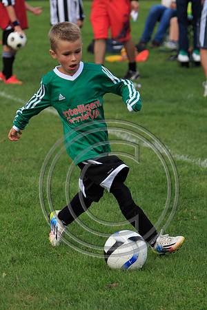 Eldon-2014 899