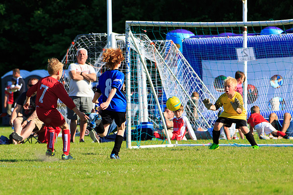130629 Sandhurst Wanderers U8 at BTJ U9 Trny (494)