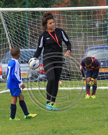 Eldon-2014 907