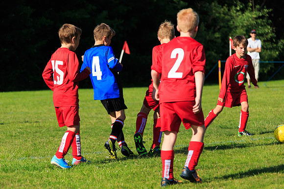 130629 Sandhurst Wanderers U8 at BTJ U9 Trny (556)