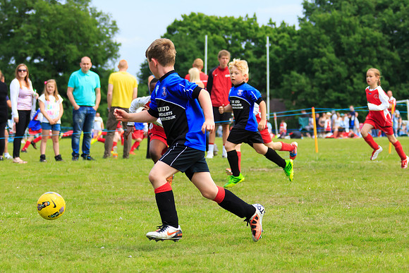 130629 Sandhurst Wanderers U8 at BTJ U9 Trny (19)