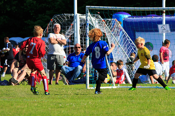 130629 Sandhurst Wanderers U8 at BTJ U9 Trny (495)