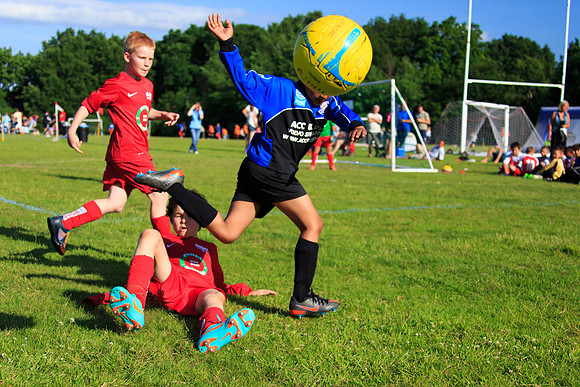 130629 Sandhurst Wanderers U8 at BTJ U9 Trny (579)