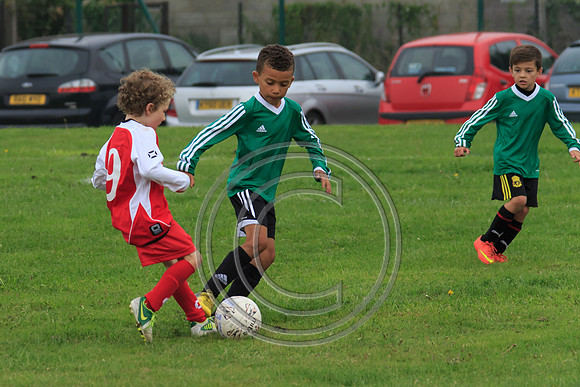 Eldon-2014 172