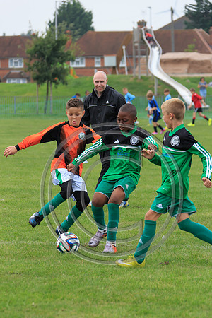 Eldon-2014 594