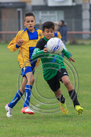 Eldon-2014 362