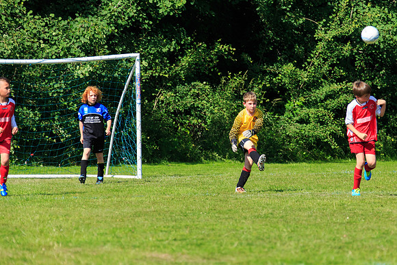 130629 Sandhurst Wanderers U8 at BTJ U9 Trny (330)