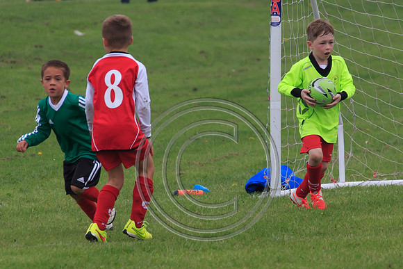 Eldon-2014 328
