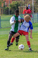 Eldon-2014 1082