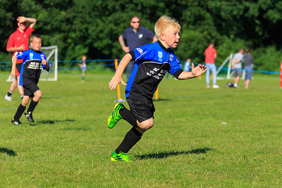 130629 Sandhurst Wanderers U8 at BTJ U9 Trny (548)