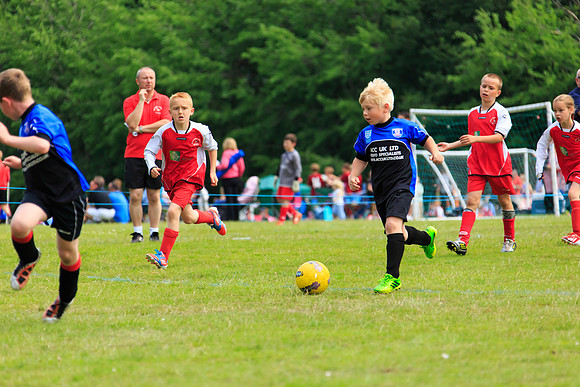 130629 Sandhurst Wanderers U8 at BTJ U9 Trny (17)
