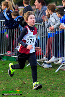Cross Country 4