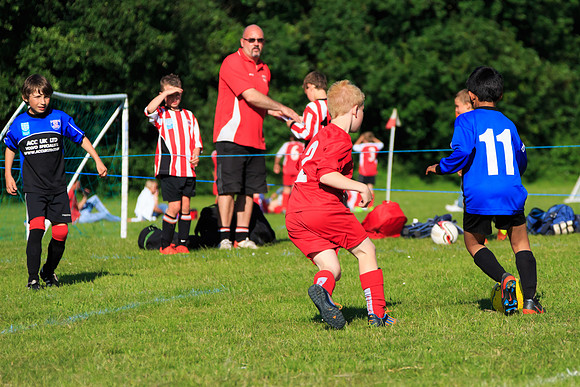 130629 Sandhurst Wanderers U8 at BTJ U9 Trny (543)