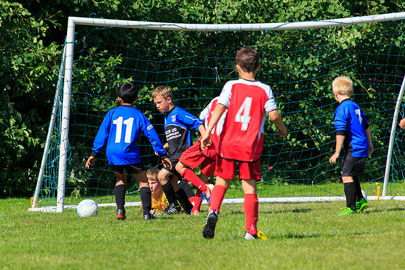130629 Sandhurst Wanderers U8 at BTJ U9 Trny (277)