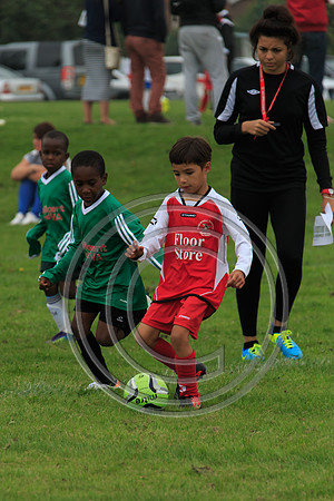 Eldon-2014 222