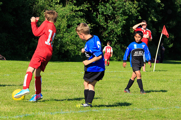 130629 Sandhurst Wanderers U8 at BTJ U9 Trny (519)