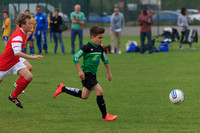 Eldon-2014 090