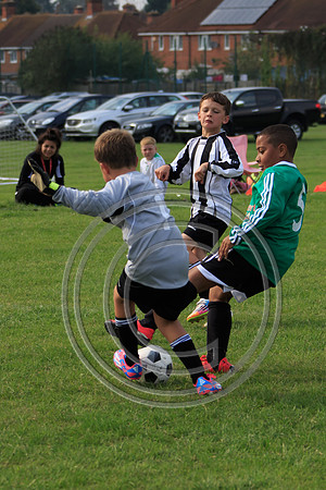 Eldon-2014 873