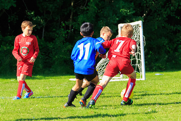 130629 Sandhurst Wanderers U8 at BTJ U9 Trny (536)