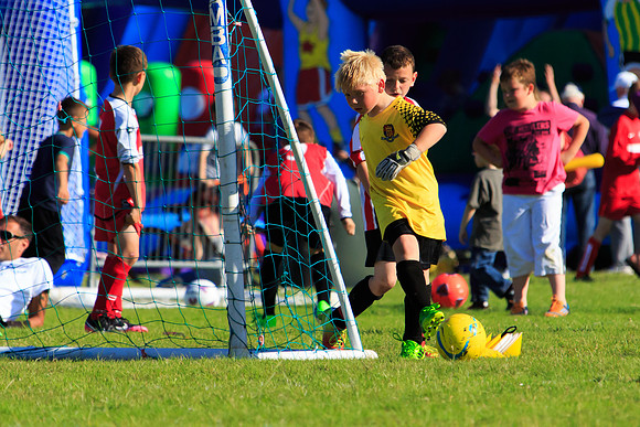 130629 Sandhurst Wanderers U8 at BTJ U9 Trny (479)