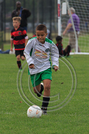 Eldon-2014 499