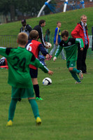 Eldon-2014 049