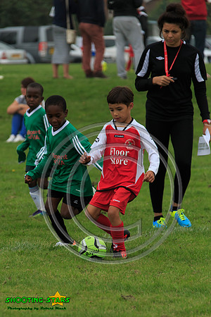 Eldon-2014 222