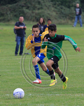 Eldon-2014 683