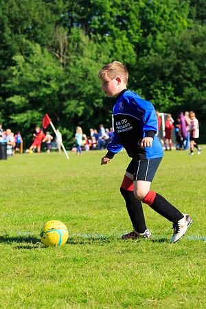 130629 Sandhurst Wanderers U8 at BTJ U9 Trny (472)