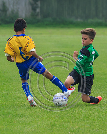 Eldon-2014 693